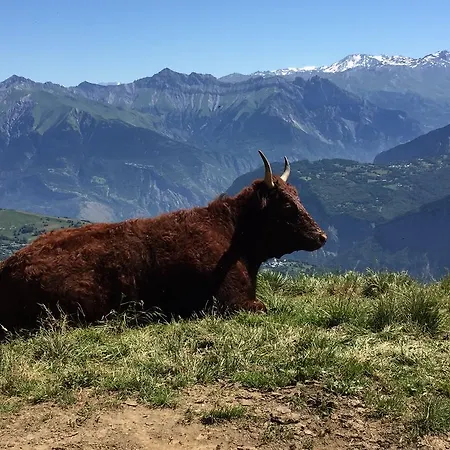 Apartmán Les Pistes *